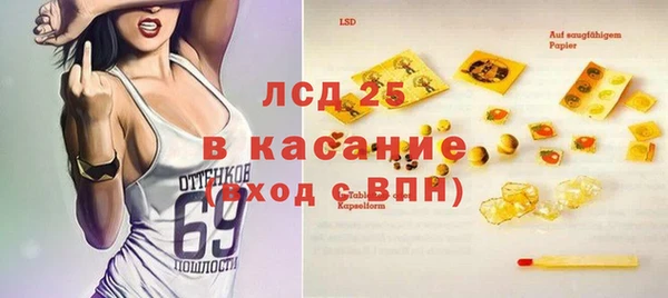 крисы Ельня