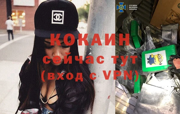 крисы Ельня