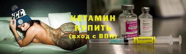 крисы Ельня