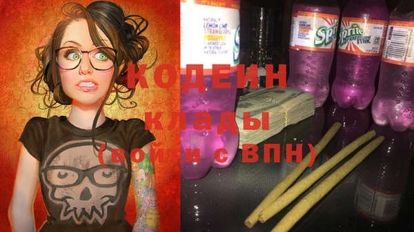 крисы Ельня