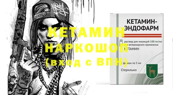 крисы Ельня