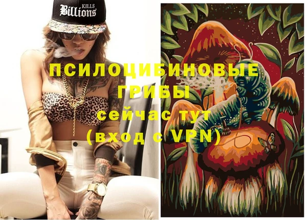 крисы Ельня