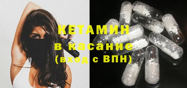 крисы Ельня