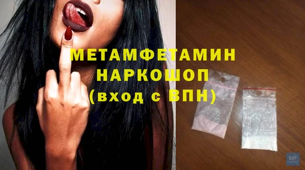крисы Ельня