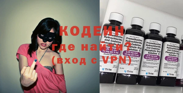 крисы Ельня