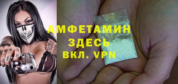 крисы Ельня